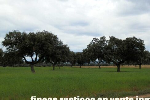 562_fincas-en-venta-0069