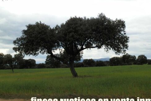 562_fincas-en-venta-0070