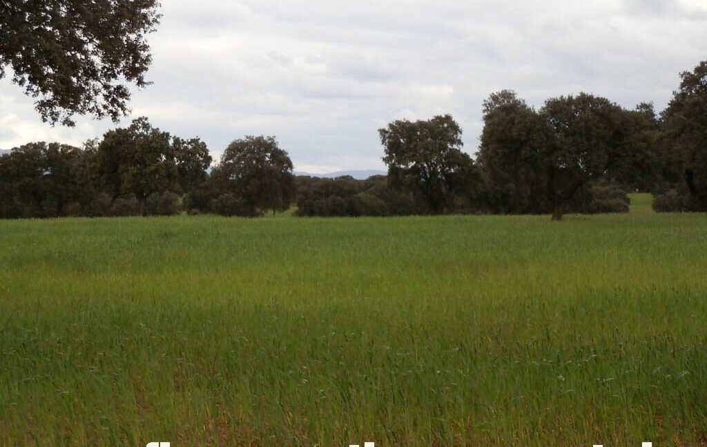 562_fincas-en-venta-0071