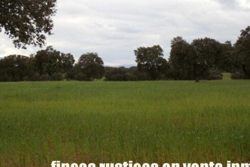 562_fincas-en-venta-0071