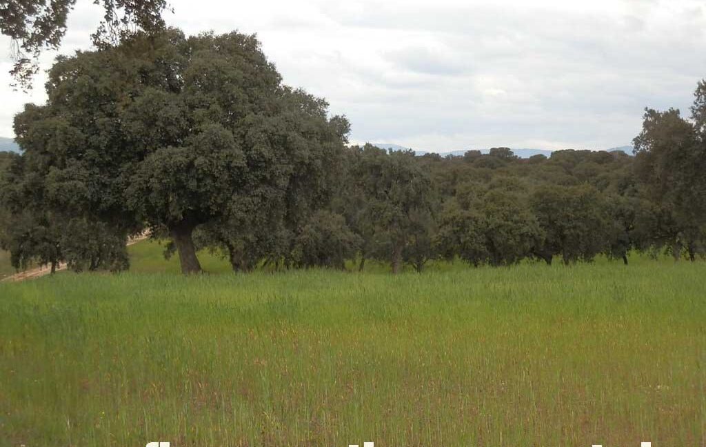 562_fincas-en-venta-0078