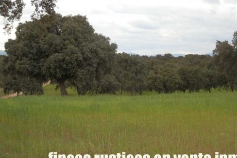 562_fincas-en-venta-0078