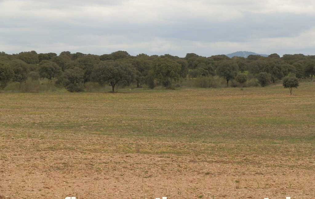 562_fincas-en-venta-0079