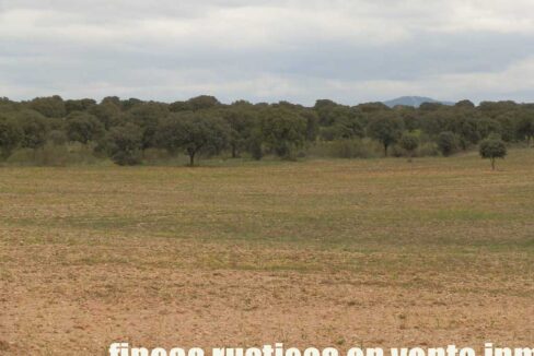562_fincas-en-venta-0079