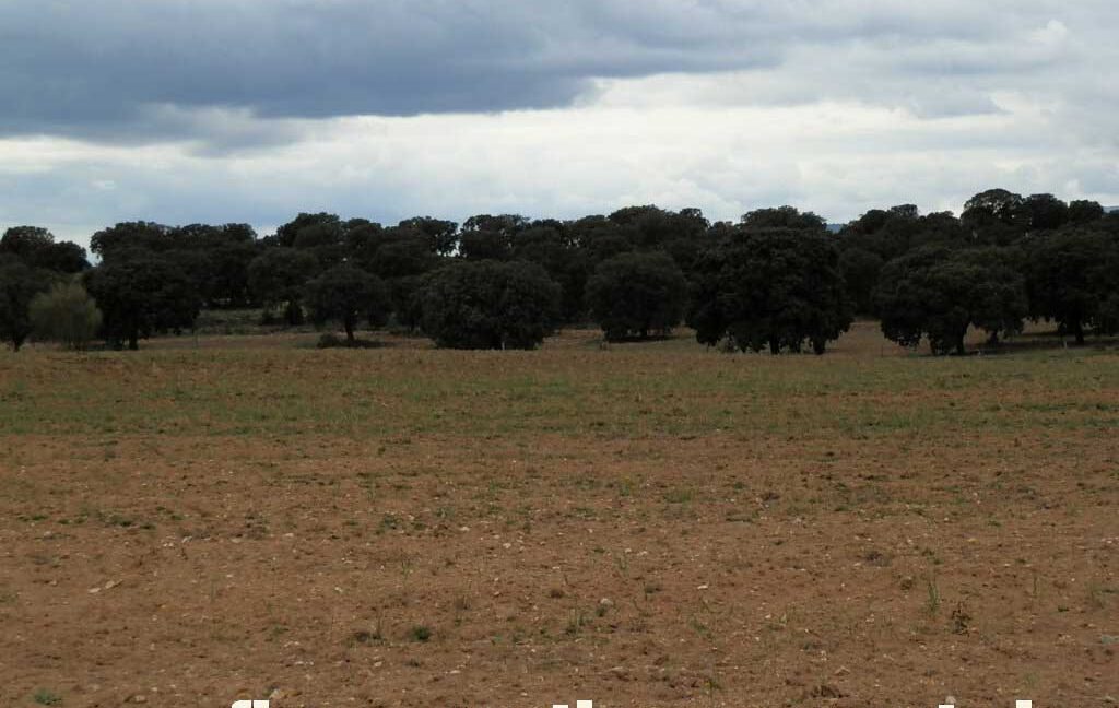 562_fincas-en-venta-0080