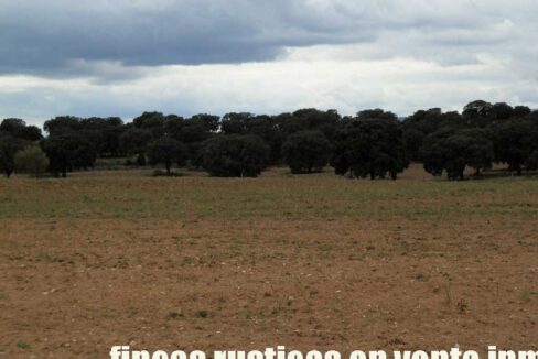 562_fincas-en-venta-0080