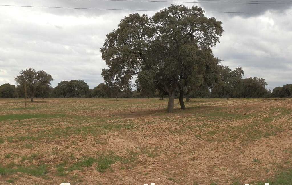 562_fincas-en-venta-0083