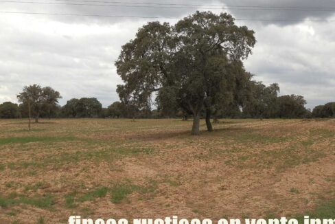 562_fincas-en-venta-0083