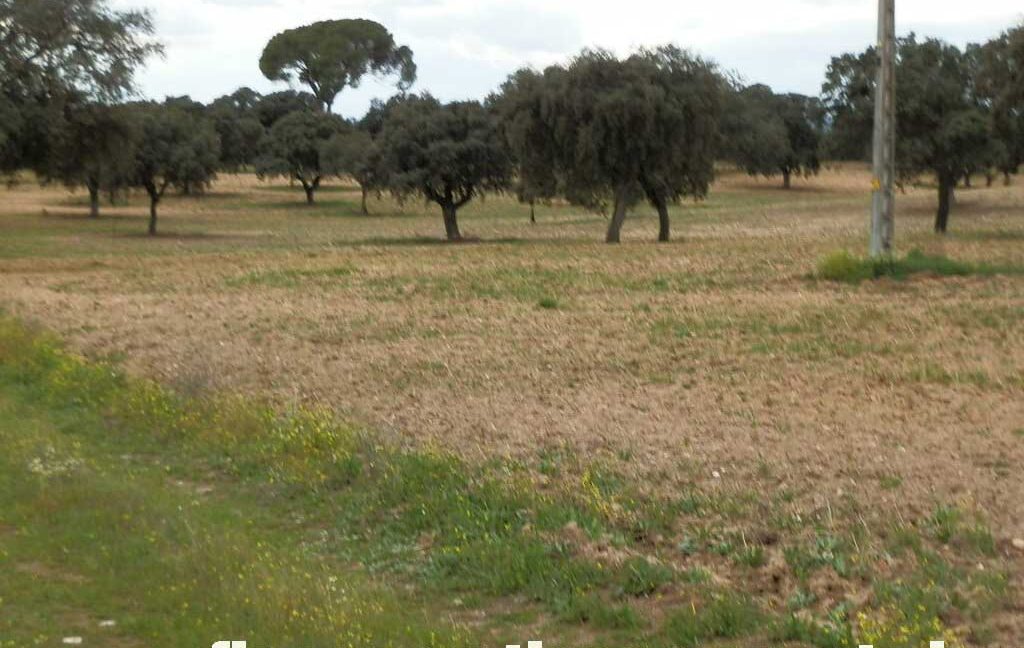 562_fincas-en-venta-0085