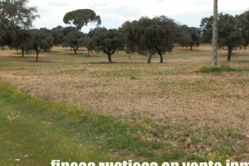 562_fincas-en-venta-0085