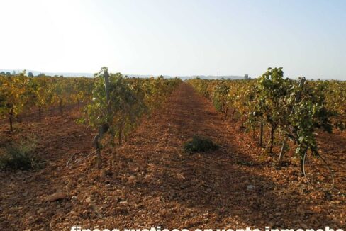 582_fincas-en-venta-099