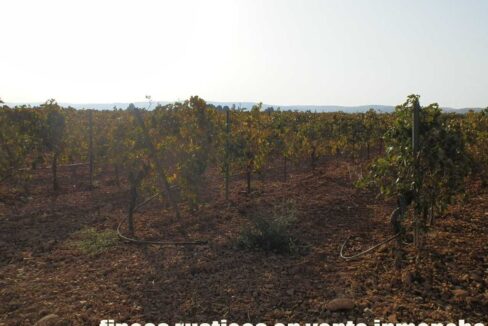 582_fincas-en-venta-100
