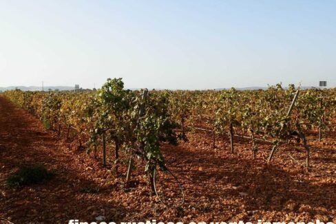 582_fincas-en-venta-101