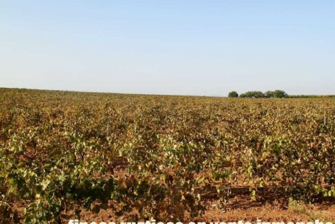 582_fincas-en-venta-102