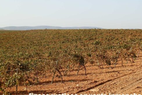 582_fincas-en-venta-105
