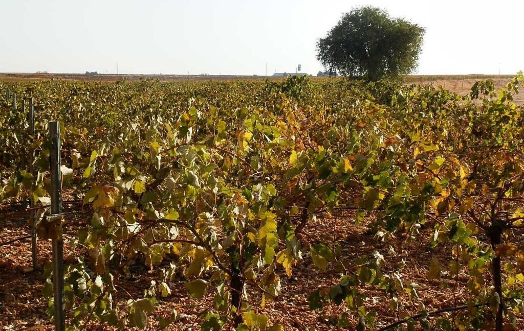 582_fincas-en-venta-108