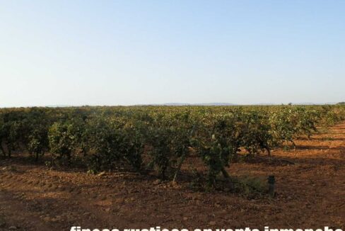 582_fincas-en-venta-109