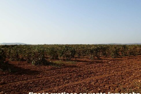 582_fincas-en-venta-110