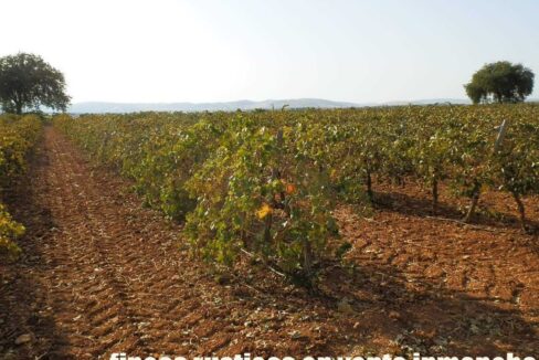 582_fincas-en-venta-112