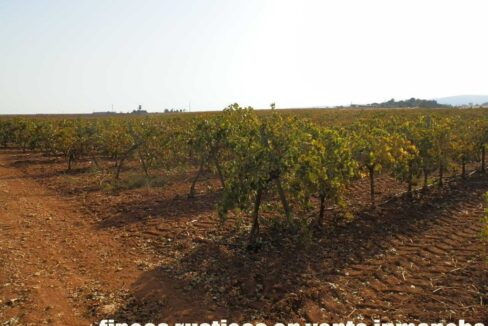 582_fincas-en-venta-113