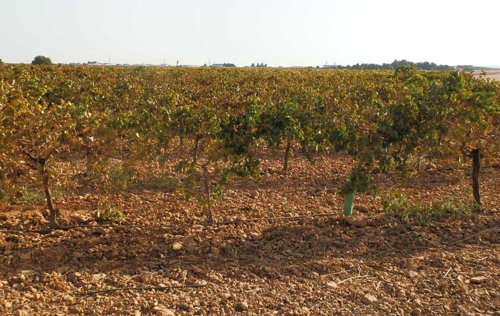 582_fincas-en-venta-114