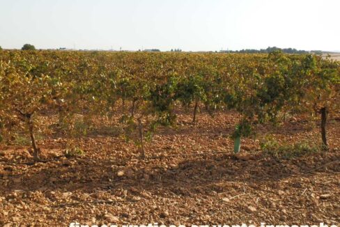 582_fincas-en-venta-114