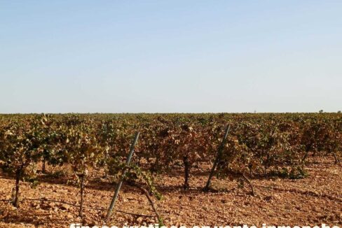 582_fincas-en-venta-134