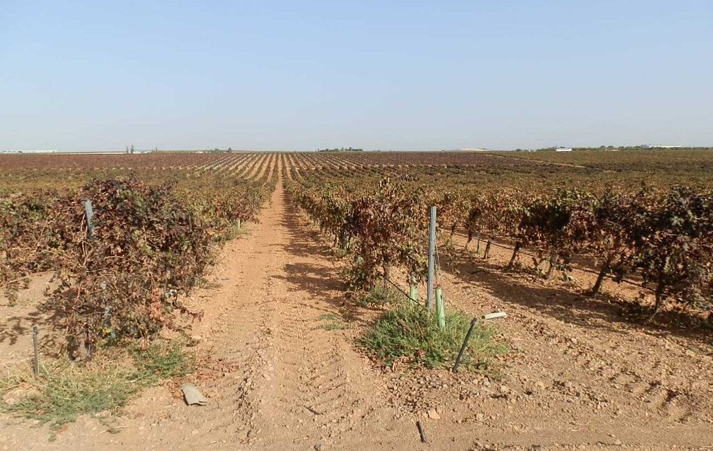 582_fincas-en-venta-136