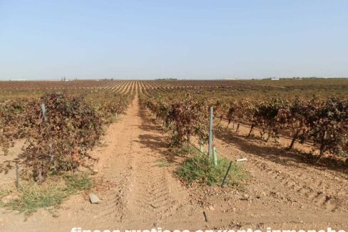 582_fincas-en-venta-136