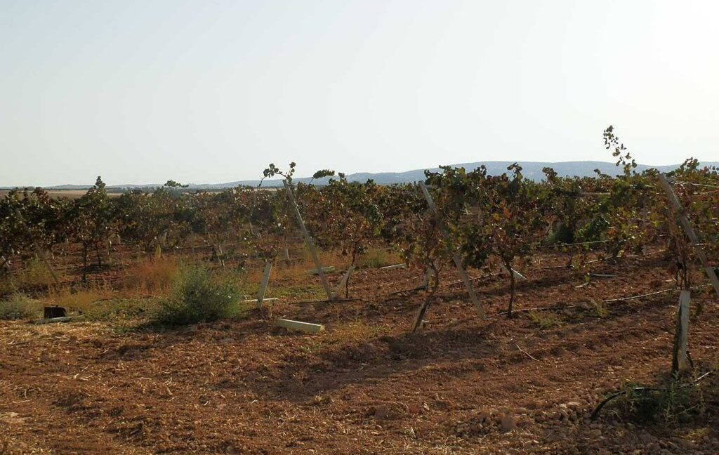 582_fincas-en-venta-147