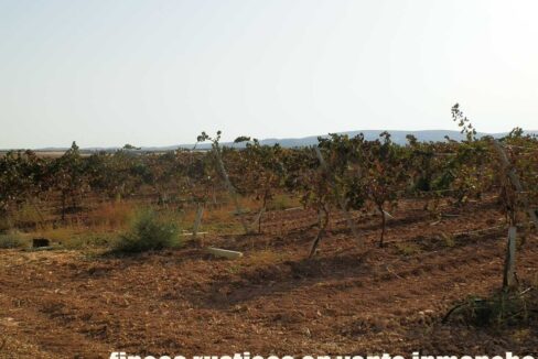 582_fincas-en-venta-147