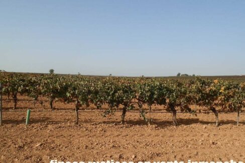 582_fincas-en-venta-148