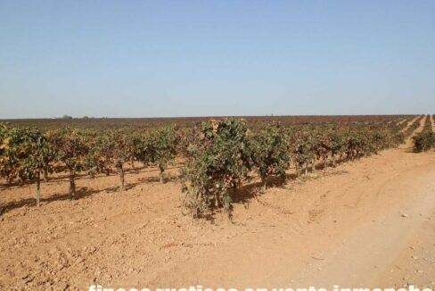 582_fincas-en-venta-150