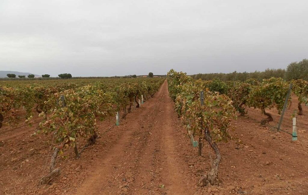 583_fincas-en-venta-079