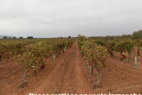 583_fincas-en-venta-079