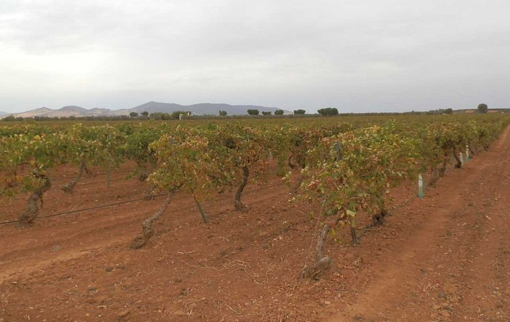583_fincas-en-venta-080