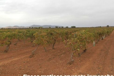 583_fincas-en-venta-080