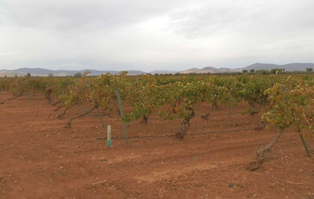 583_fincas-en-venta-081