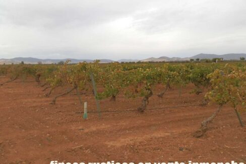 583_fincas-en-venta-081