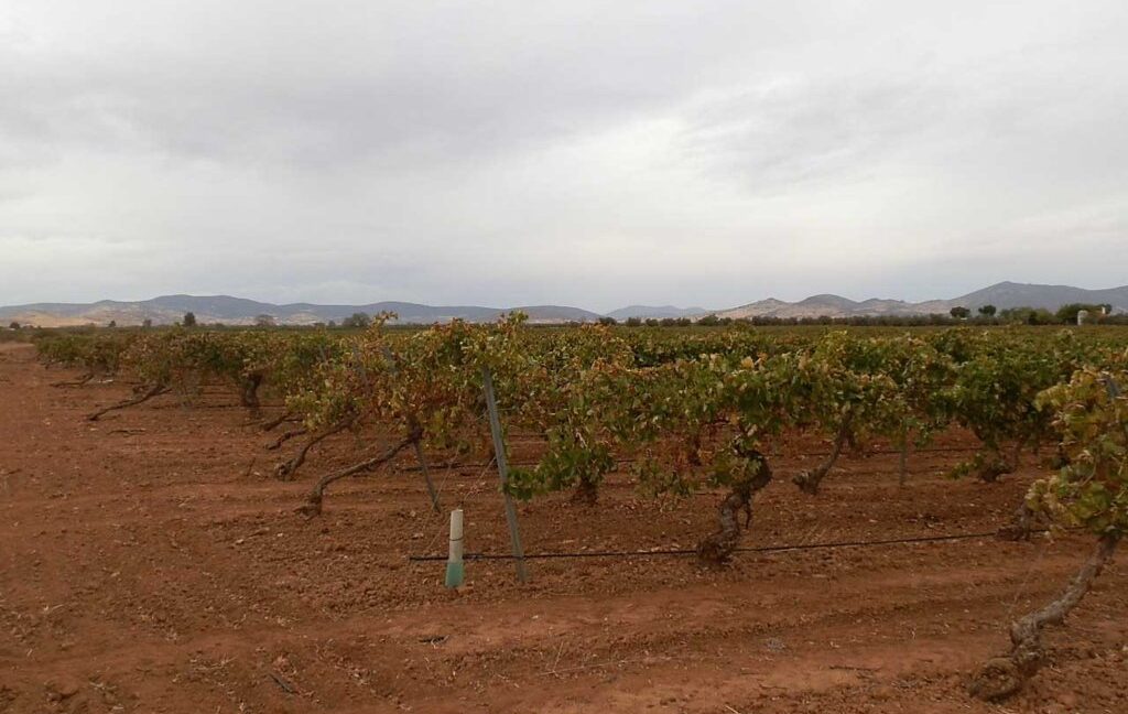 583_fincas-en-venta-082
