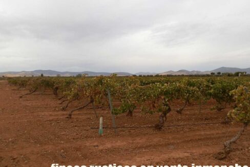 583_fincas-en-venta-082