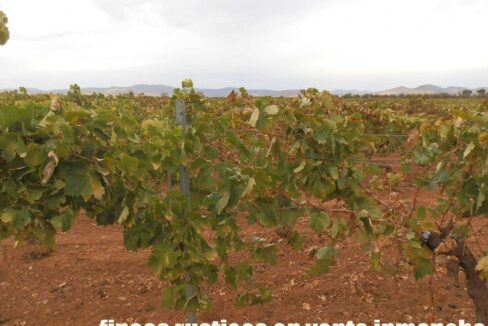 583_fincas-en-venta-083