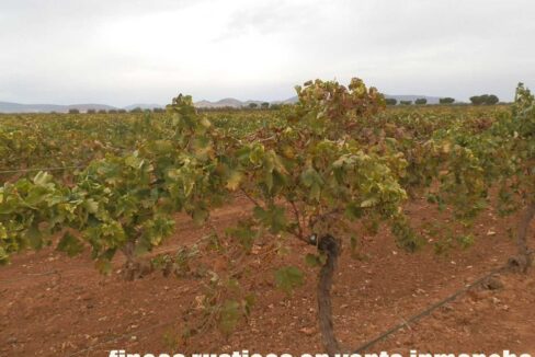 583_fincas-en-venta-084