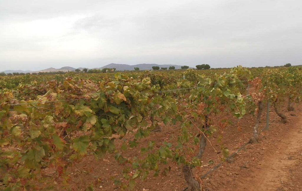 583_fincas-en-venta-085