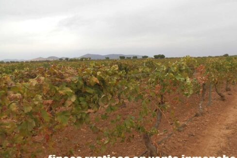 583_fincas-en-venta-085