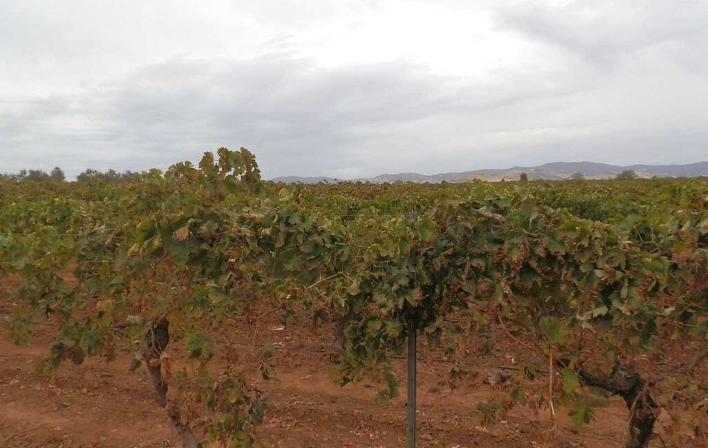 583_fincas-en-venta-087