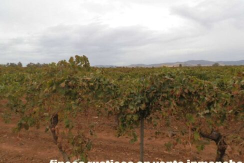 583_fincas-en-venta-087