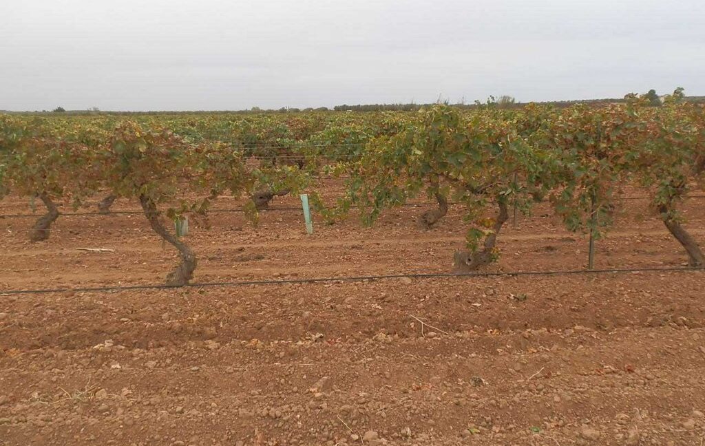 583_fincas-en-venta-088