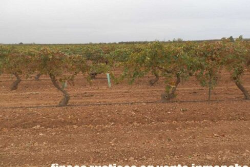 583_fincas-en-venta-088