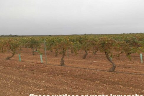 583_fincas-en-venta-089